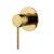 Polished Brass