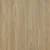 Banksia Blackbutt