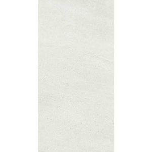 ASPEN WHITE MATT RECTIFIED 300X600MM AS01