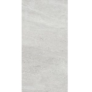 ASPEN SILVER MATT RECTIFIED 300X600MM AS02