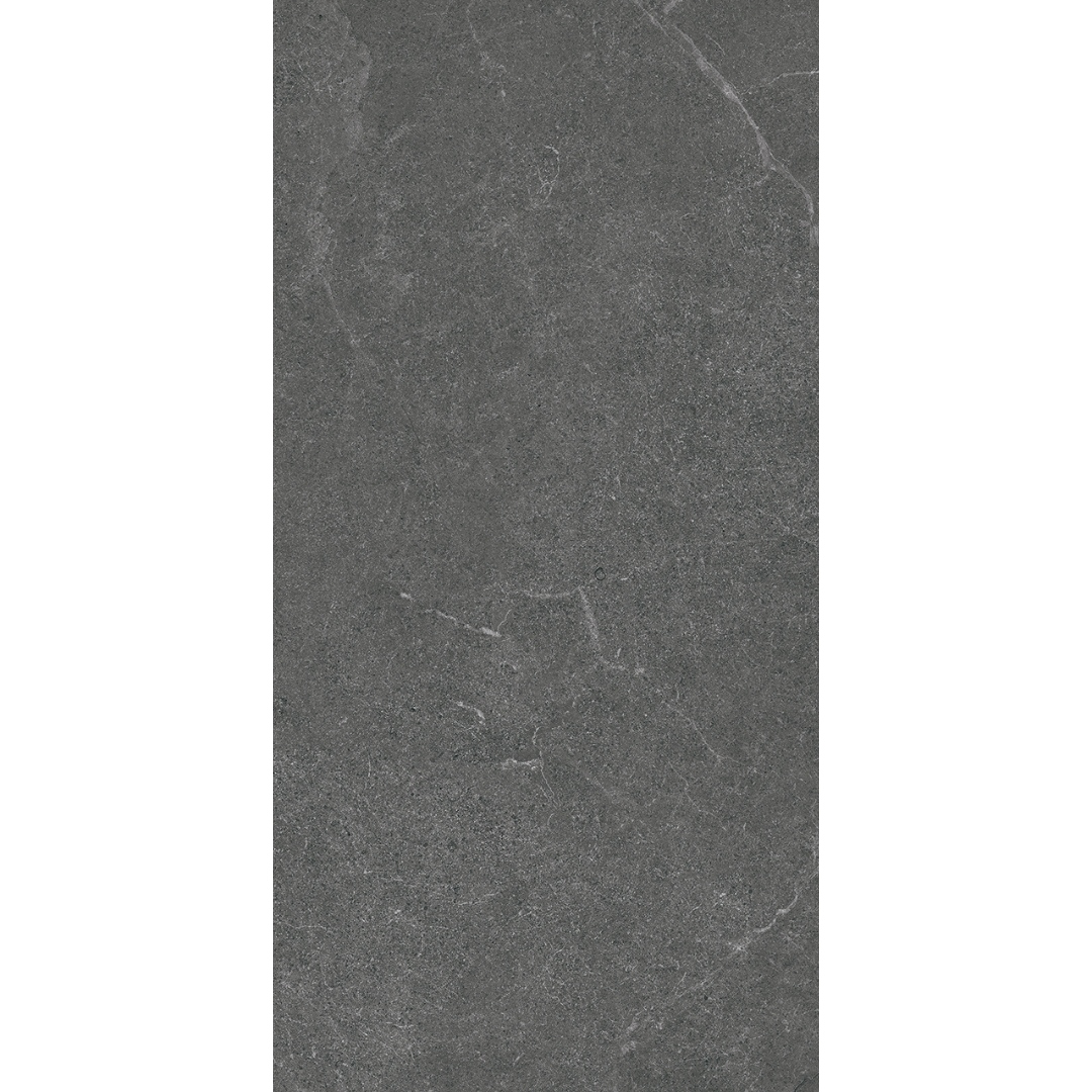 VENUS DARK GREY MATT 300X600MM 36LH09R